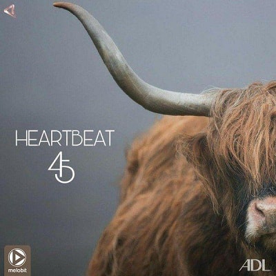 دانلود Adl . Heartbeat 45 آهنگ Adl . Heartbeat 45 متن Adl . Heartbeat 45 اهنگ Adl . Heartbeat 45 اهنگ جدید Adl . Heartbeat 45 آهنگ جدید Adl . Heartbeat 45 بنر Adl . Heartbeat 45 پوستر Adl . Heartbeat 45 download ahange jadide matne Adl . Heartbeat 45